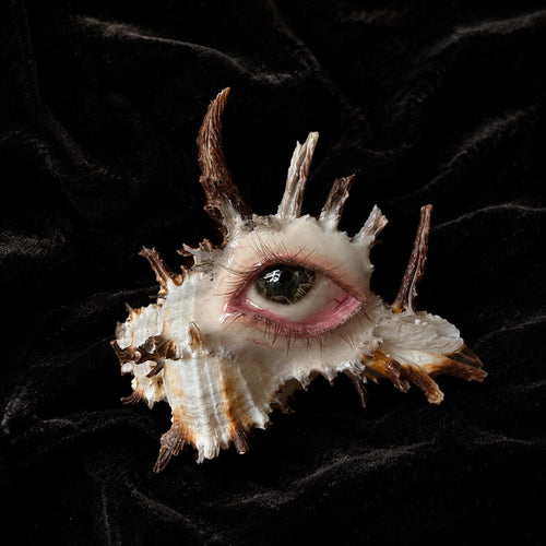 Abyss Guardians shell-eye sculpture with long branching spikes on black velvet.